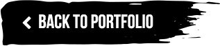 Back To Portfolio